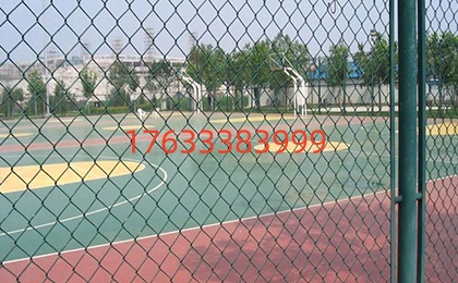 球場圍網(wǎng)圖片4